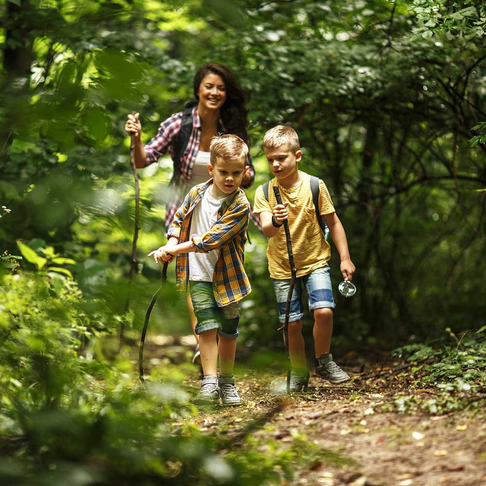 Mutter und ihre kleinen Söhne wandern durch den Wald.